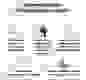Prime Peptide Brain энергия мозга и ясность мышления, 90капс.